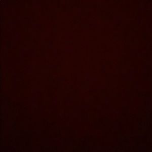 Meet your Posher, Tristian